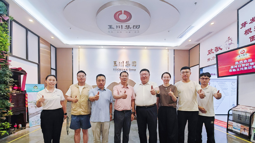 公司新闻 | 乘着探索的北风，共绘环保建材出海蓝图