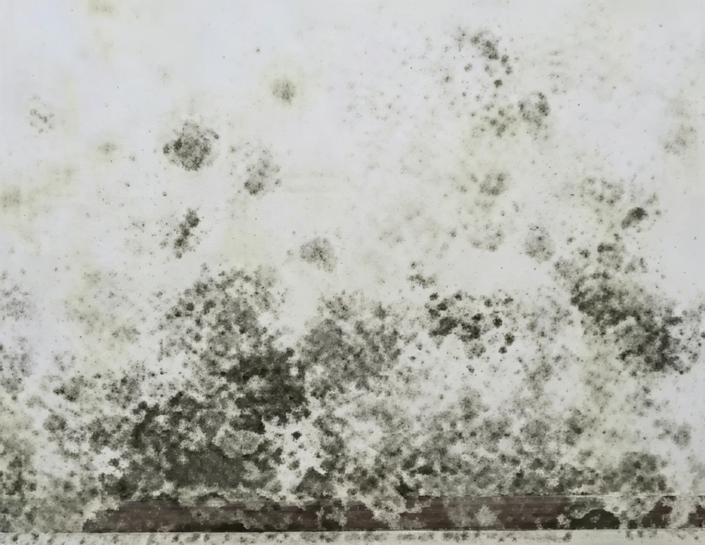 1780388872605385.jpg 3.回潮脏污.jpg