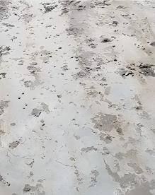 1780452345233161.jpg 4.脱壳.jpg
