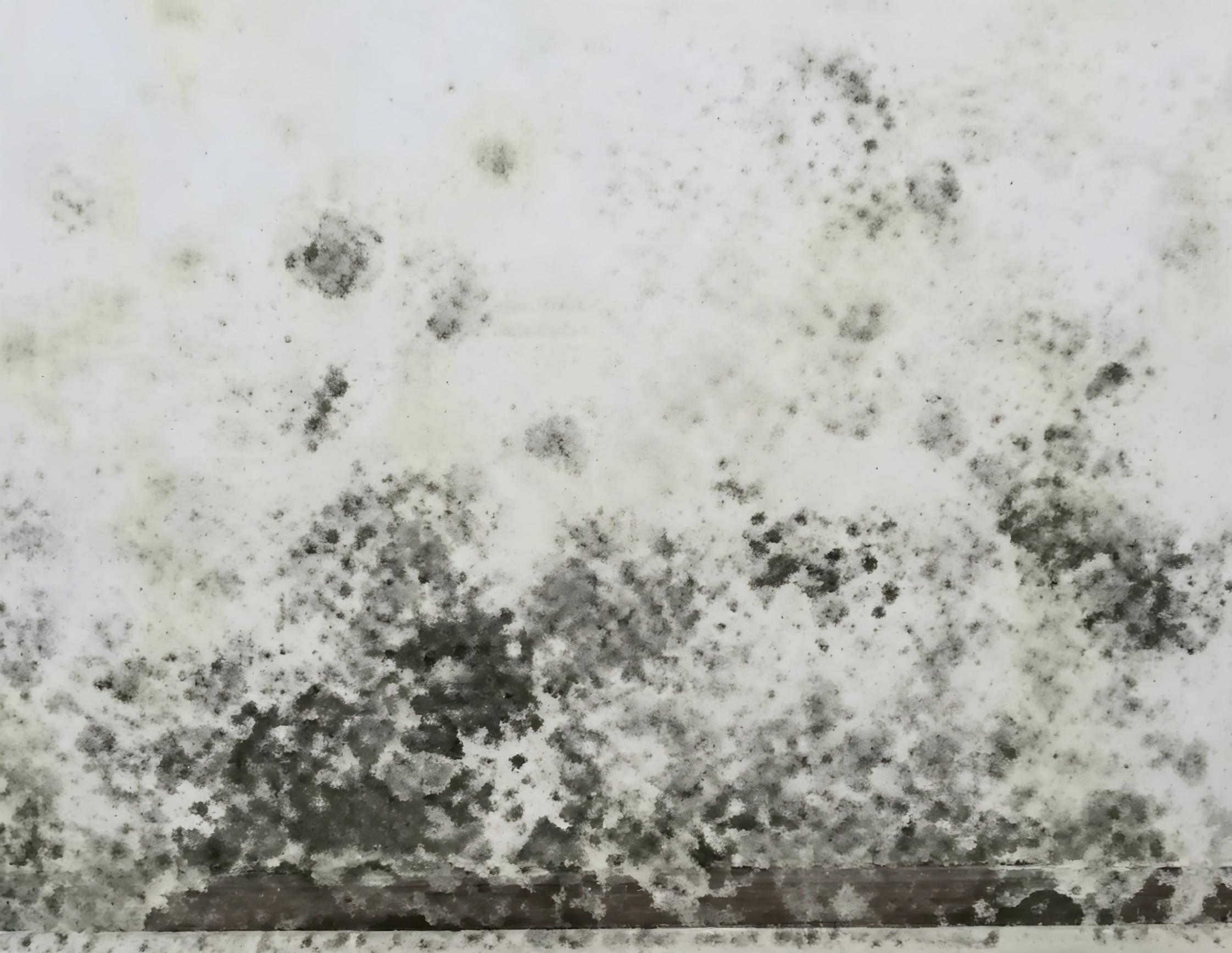 1780452717229158.jpg 3.墙面回潮.jpg