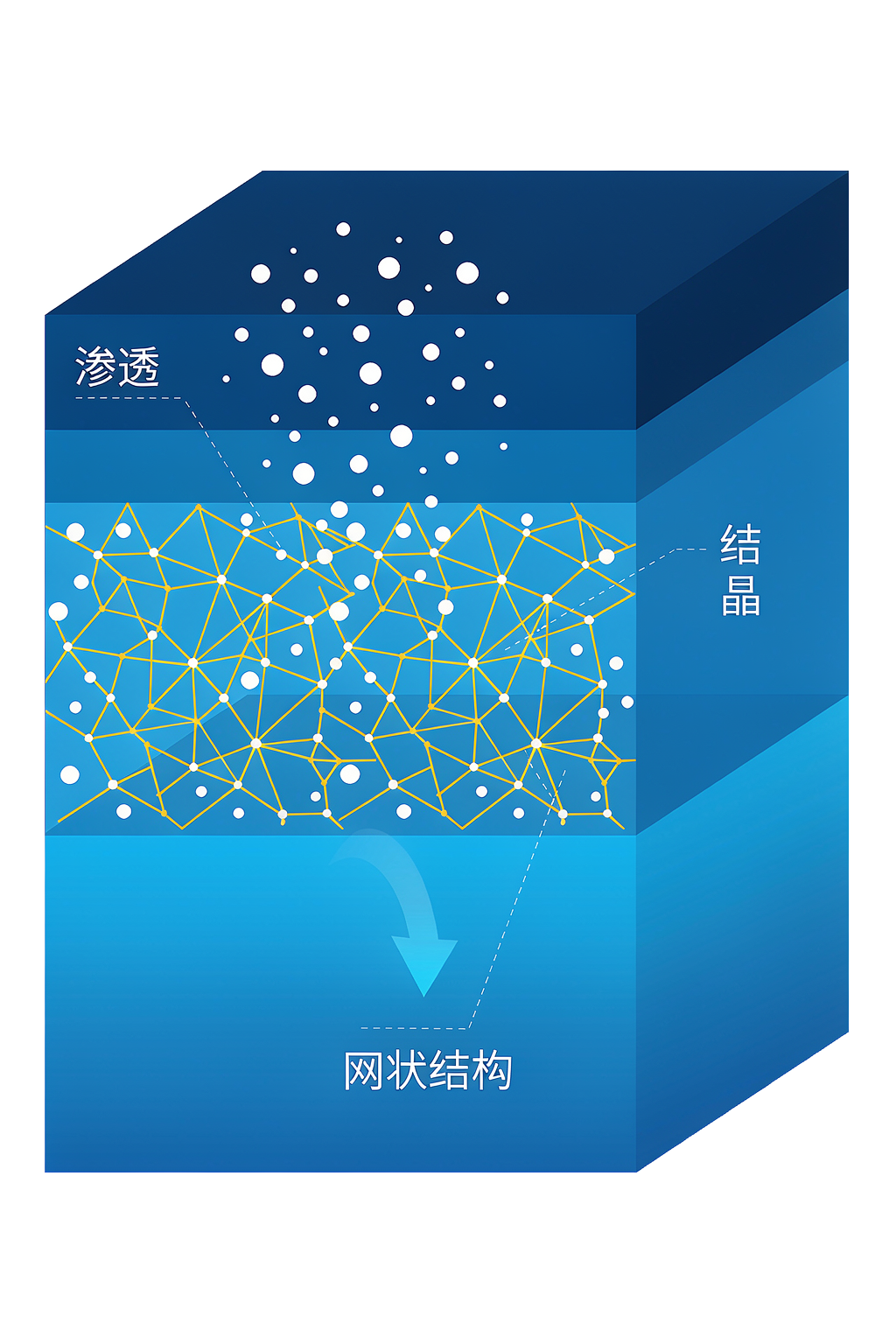 1787736315927132.png 图片9.png